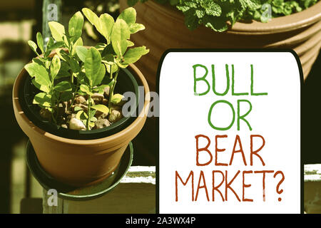 Schreiben Hinweis Übersicht Stier oder Bär Markt Frage. Business Konzept für Fragen Jemanden über seine Methode reichlich Pflanzen auf einem kleinen Topf plac Stockfoto