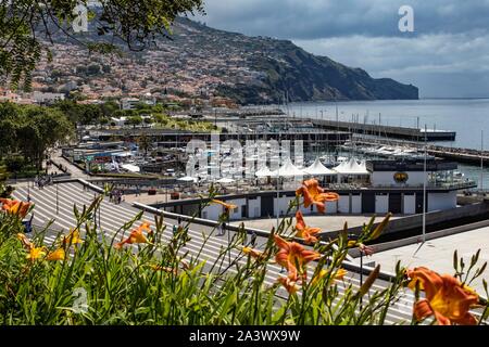 Blick über die Stadt und die Marina, Funchal, Madeira, Portugal Stockfoto