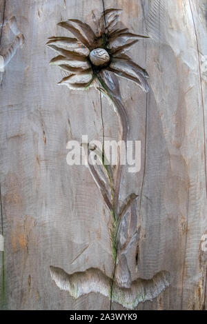 SAN PELLEGRINO, Lombardei/ITALIEN - 5. Oktober: Holzschnitzerei eines Edelweiss Blume in San Pellegrino Lombardei Italien am 5. Oktober, 2019 Stockfoto