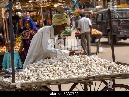 Alte indische Mann Verkauf von Knoblauch in einem Markt, Rajasthan, Jaisalmer, Indien Stockfoto