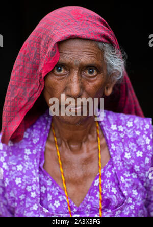 Portrait eines älteren Rajasthani Frau in traditionellen Sari, Rajasthan, Jaisalmer, Indien Stockfoto