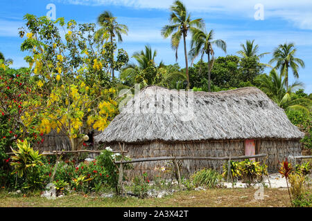 Traditionelle Kanak Haus auf Ouvea Insel, Loyalty Islands, New Caledonia. Kanak sind die indigenen Melanesischen Bewohner von Neukaledonien. Stockfoto