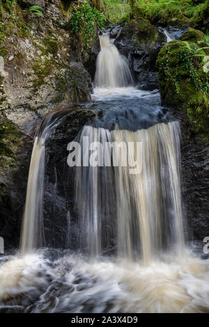 Pulhowan brennen in den Wald von Cree Nature Reserve, Newton Stewart, Dumfries und Galloway, Schottland Stockfoto