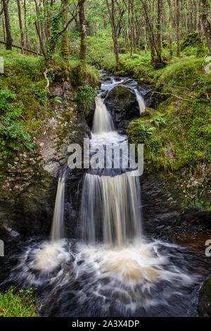 Pulhowan brennen in den Wald von Cree Nature Reserve, Newton Stewart, Dumfries und Galloway, Schottland Stockfoto