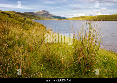 Loch Fada Stockfoto