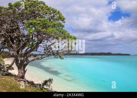 Lekiny Bucht auf der Insel Ouvea, Loyalty Islands, New Caledonia. Stockfoto