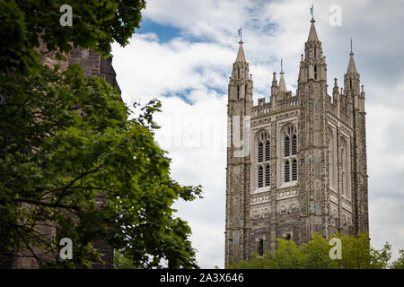 Cleveland Tower, Princeton University; Eiffy und Grün im Vordergrund Stockfoto