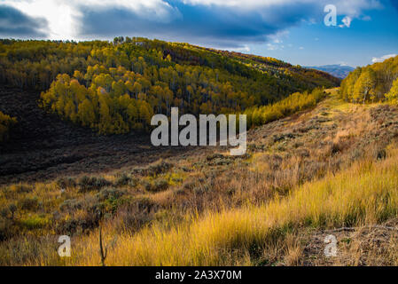 Rote Ahornbäume, golden Aspen, und Schnee herrliche Herbstlandschaft. Der Herbst ist eine gute Zeit, den Übergang zwischen Herbst und Winter Monat anzuzeigen. Stockfoto