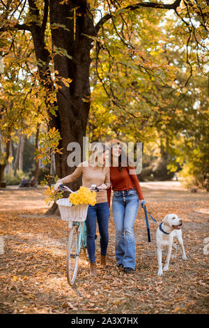 Zwei junge weibliche Freunde zu Fuß in den gelben Herbst park mit Hund und Fahrrad Stockfoto