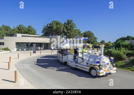 Touristischer Zug vor der Maison des mégalithes, die Besucher über die Carnac Ausrichtungen, Megalithen im Morbihan, Bretagne, Frankreich Stockfoto