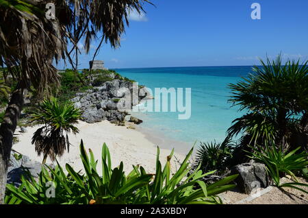 Der Blick auf den Strand und das Meer - Kristallklares Wasser von Tulum Stockfoto