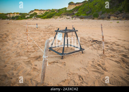 Turtle Nest. Karettschildkröte Nistplatz. Spezielle Konstruktionen geschützt ei Schildkröten am Gerakas - sehr beliebt zwischen Touristen Zakynthos Stockfoto