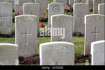 Eine Rose wächst zwischen die Grabsteine an der Commonwealth Kriegsgräber Kommission Wytschaete Soldatenfriedhof, in der Nähe von Ypern, Belgien. Stockfoto