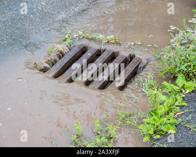 Heavy Rain in den Abfluss Stockfoto