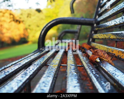 Conkers auf einer Bank im Park Stockfoto