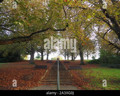 Herbstfarben im Park - Watford Stockfoto