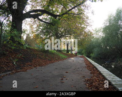 Herbstfarben im Park - Watford Stockfoto