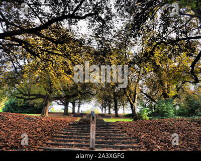 Herbstfarben im Park - Watford Stockfoto