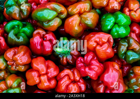 Organisch reif Paprika in verschiedenen Farben sind als Hintergrund in einem Muster von frischen Zutaten für eine gesunde Mahlzeit gezeigt Stockfoto