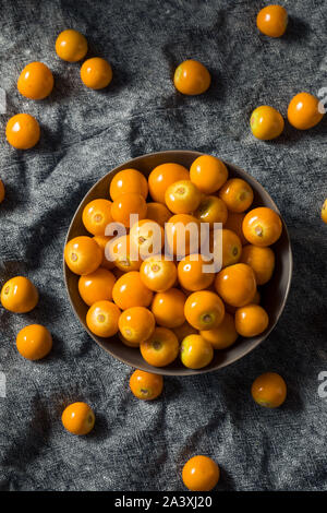 Raw orange organisch Gooseberrries bereit zu Essen Stockfoto