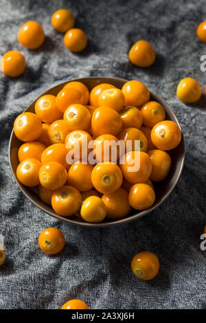 Raw orange organisch Gooseberrries bereit zu Essen Stockfoto