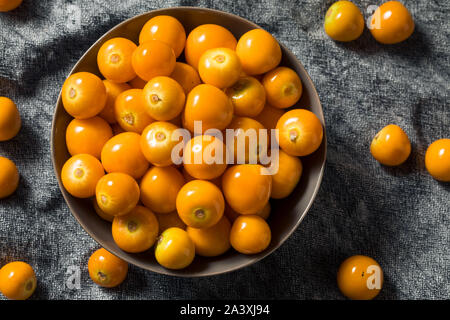 Raw orange organisch Gooseberrries bereit zu Essen Stockfoto