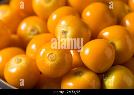 Raw orange organisch Gooseberrries bereit zu Essen Stockfoto