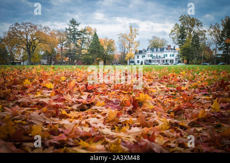 Eagleton Institut der Politik an der Rutgers Universität, mit der gefallenen Ahorn Blätter gold und rot in den Vordergrund Stockfoto