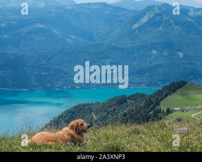 Blick auf den Wolfgangsee Stockfoto