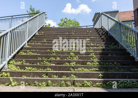 Treppen, Stufen, zu einem Verkehr, Fußgängerbrücke, voll mit Unkraut überwuchert, Stockfoto