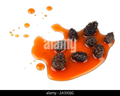 Junge Tannenzapfen jam Stockfoto