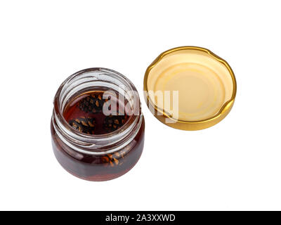 Junge Tannenzapfen Marmelade im Glas Stockfoto