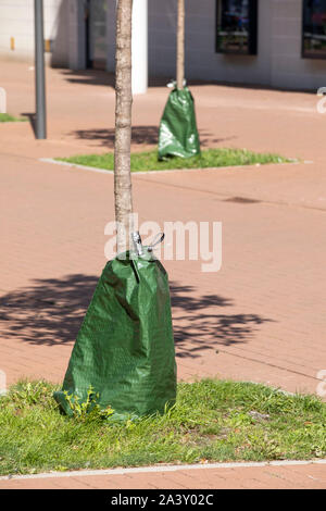 Bewässerung Taschen, Wasser, Bäume in Betten oder Straße Bäume zu liefern, während der Regen Perioden, Dürre, Stockfoto