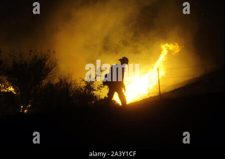 Moraga, Kalifornien, USA. 10 Okt, 2019. Moraga, Kalifornien, USA - Feuerwehrmänner kämpften die Merrill Feuer in den Hügeln hinter einer Gated Unterteilung in Moraga Ca, einer Stadt in den Hügeln zwischen Walnut Creek und Oakland. Das Feuer war kurz vor 1 Uhr und wurde zuletzt am 60 Morgen und 60 Prozent Eindämmung bei 4:15:00 UHR Credit: Neal Gewässer/ZUMA Draht/Alamy Live News berichtet Stockfoto