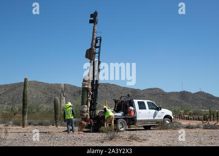 Arbeitnehmer bereiten ein Saguaro Kaktus im Organ Pipe National Monument Oktober 8, 2019 westlich von Lukeville, Arizona zu verlagern. Über 100 gefährdeten Kakteen, einschließlich 76 Saguaros, wurden verlegt, um Platz für das neue Grenzmauer Projekt entlang der US-mexikanischen Grenze zu machen. Stockfoto