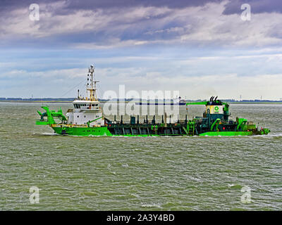 Antwerpen Belgien am 10. August 2019 Die Hopper Schwimmbagger Artevelde aus der westlichen Schelde Stockfoto