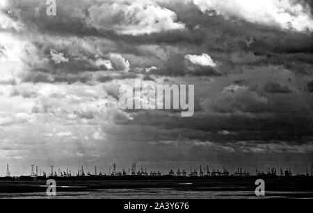 Antwerpen Belgien am 10. August 2019 Containerbrücken windfarm und Strommasten aus der westlichen Schelde Stockfoto