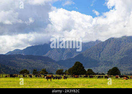 Blick in Richtung der südlichen Alpen, Neuseeland Stockfoto