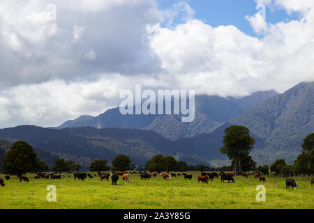 Blick in Richtung der südlichen Alpen, Neuseeland Stockfoto