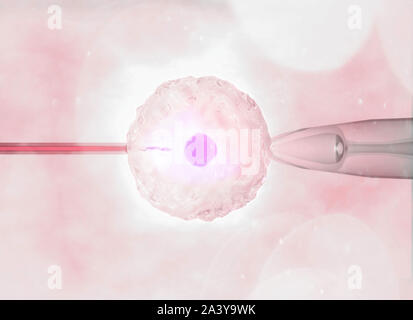 Künstliche oder assistierten Befruchtung ist der Prozess, durch den die Union der Gameten künstlich durchgeführt wird, durch Beobachtung unter dem Mikroskop Stockfoto