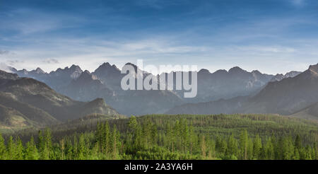 Panorama der Tatra aus Glodowka Stockfoto