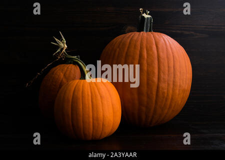 Rustikale Gruppierung der ganzen Kürbisse: Gruppe der ganzen Kürbisse in verschiedenen Größen auf einem dunklen Hintergrund Stockfoto