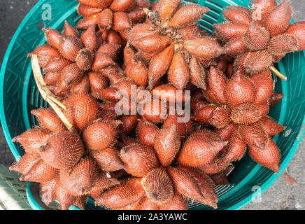 Chon Buri, Thailand - März 16, 2019: Nahaufnahme von azure Korb gefüllt mit rot-braune Schlange Früchte auf dem Markt in der Sukhumvit Road. Stockfoto