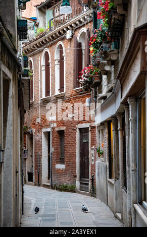 Typische venezianische Straße zwischen schönen alten Gebäuden mit Blumen an den Fenstern. Venedig, Italien. Stockfoto