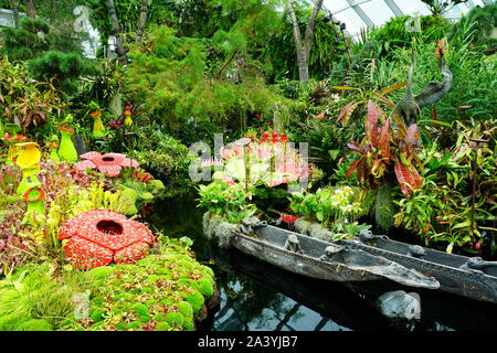 Singapur - 25 AUG 2019 - eine Anzeige der Pflanzen aus Lego im Nebelwald Wintergarten an der Gärten durch die Bucht in Singapur. Stockfoto