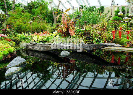 Singapur - 25 AUG 2019 - eine Anzeige der Pflanzen aus Lego im Nebelwald Wintergarten an der Gärten durch die Bucht in Singapur. Stockfoto