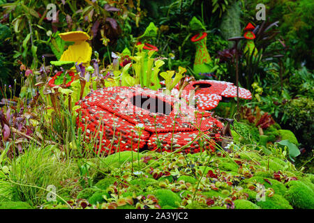 Singapur - 25 AUG 2019 - eine Anzeige der Pflanzen aus Lego im Nebelwald Wintergarten an der Gärten durch die Bucht in Singapur. Stockfoto