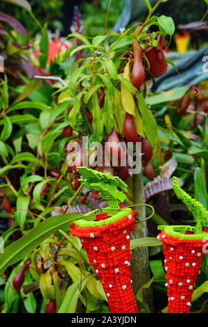 Singapur - 25 AUG 2019 - eine Anzeige der Pflanzen aus Lego im Nebelwald Wintergarten an der Gärten durch die Bucht in Singapur. Stockfoto