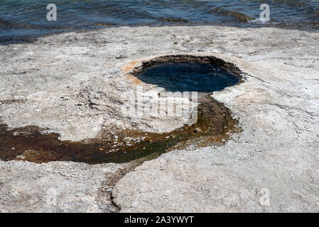 Conic Geysir durch den Yellowstone Lake Stockfoto