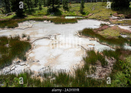 Heiße Quellen in Yellowstone mit sprudelnden Schlamm gefüllt Stockfoto